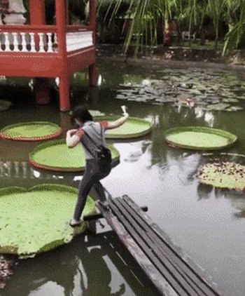 Acid Gifdump, March 16 (25 gifs)