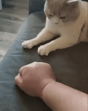 Acid Gifdump, March 16 (25 gifs)