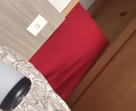 Acid Gifdump, March 16 (25 gifs)