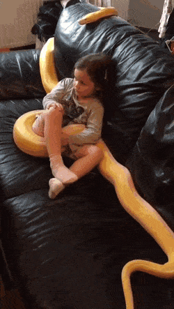Acid Gifdump, March 16 (25 gifs)