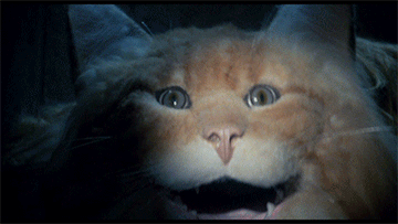 Trashy-Fun Horror Movies (14 gifs) Trashy-Fun Horror Movies (14 gifs)