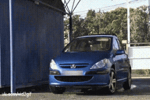 Girls And Cars (27 gifs)