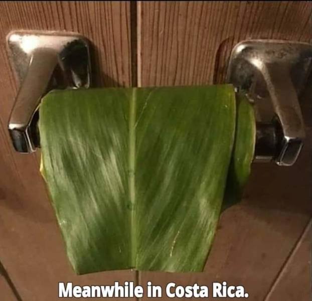 Acid Picdump. Part 2 (95 pics)