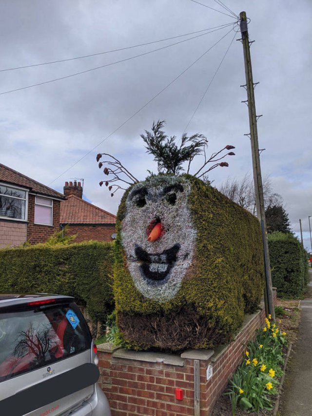 Acid Picdump. Part 2 (95 pics)