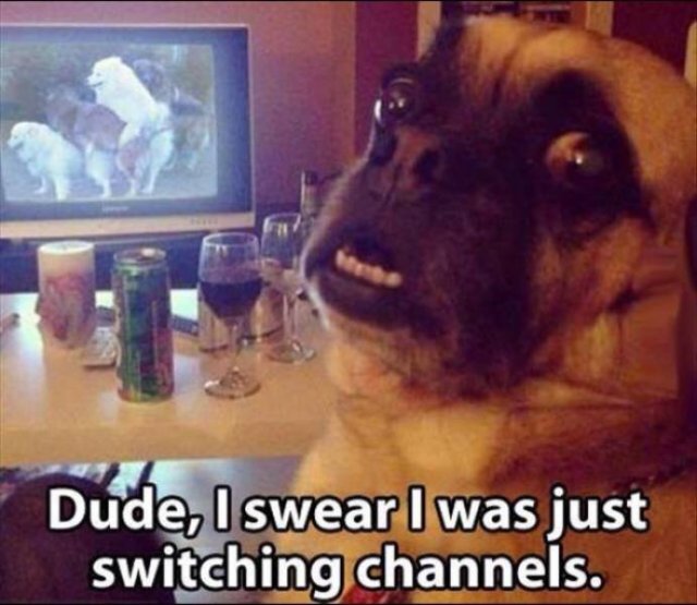Acid Picdump. Part 2 (95 pics)