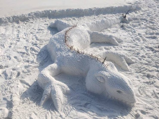 Acid Picdump. Part 2 (95 pics)