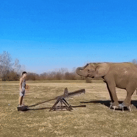 Acid Gifdump, March 17 (25 gifs)