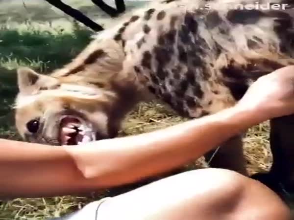 No Human Ever Greeted Me With So Much Love