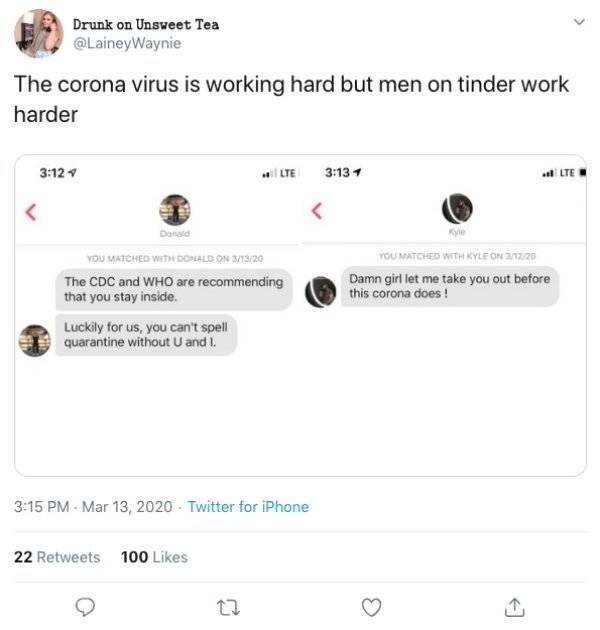 Quarantine Dating Tweets (17 pics)