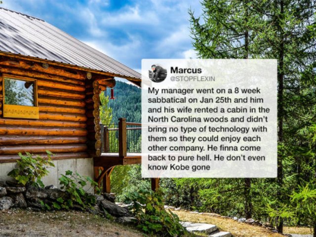 8-Week Sabbatical: Man Didn't Realized What Had Happened During His Vacation (17 pics)