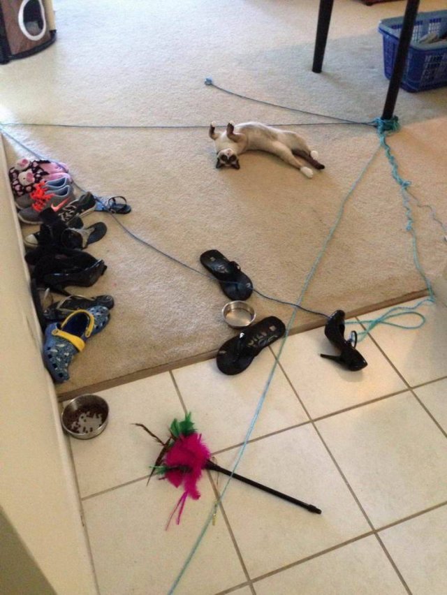 Acid Picdump. Part 1 (97 pics)