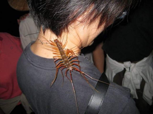 Acid Picdump. Part 1 (97 pics)