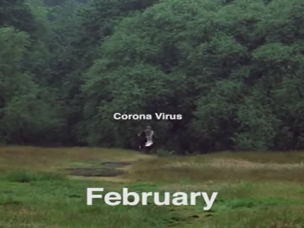 Who Saw The Corona Virus Coming...