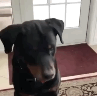 Wins And Fails (10 gifs)