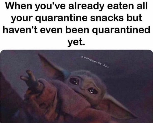 Coronavirus Memes (53 pics)