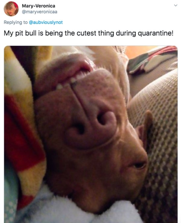 People Share Cool Things That Had Happened During Quarantine (26 pics)