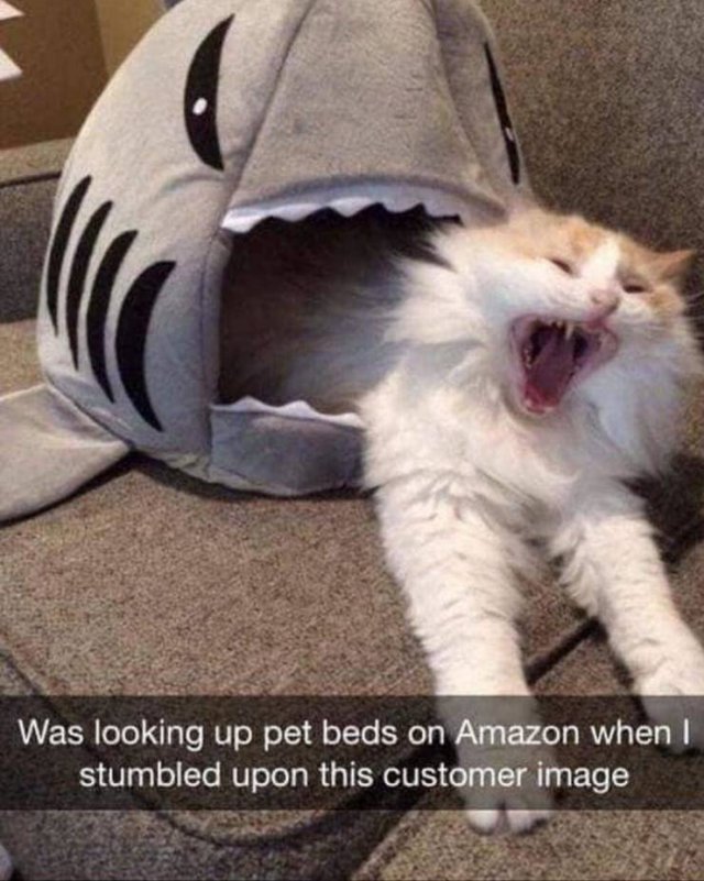 Acid Picdump. Part 2 (95 pics)