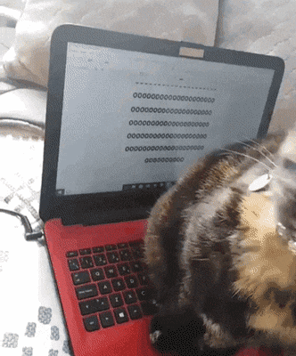 Acid Gifdump, March 20 (25 gifs)