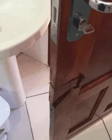 Acid Gifdump, March 20 (25 gifs)