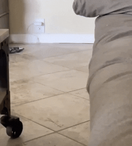 Acid Gifdump, March 20 (25 gifs)