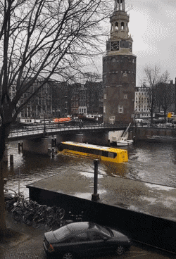 Acid Gifdump, March 20 (25 gifs)