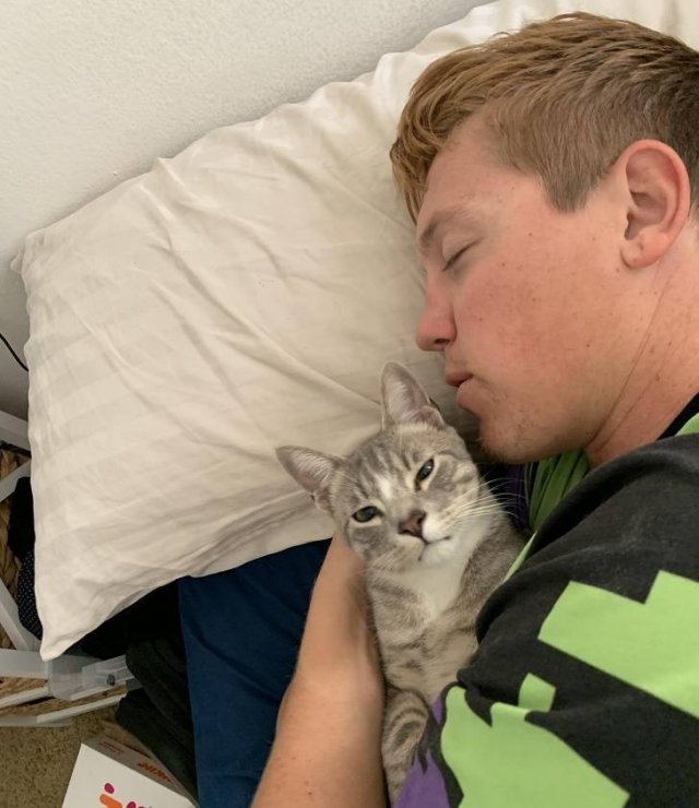 Men Who Didn't Want To Have Pets (20 pics)