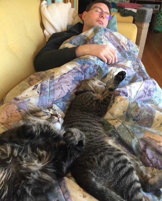 Men Who Didn't Want To Have Pets (20 pics)