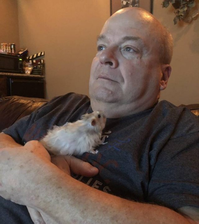Men Who Didn't Want To Have Pets (20 pics)