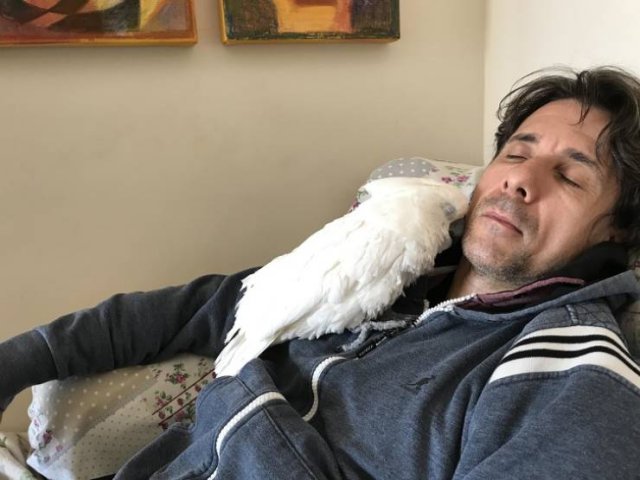 Men Who Didn't Want To Have Pets (20 pics)