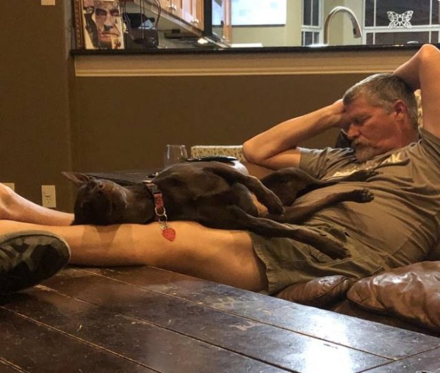 Men Who Didn't Want To Have Pets (20 pics)