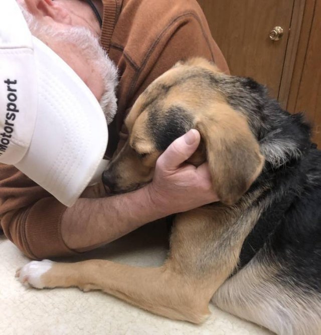 Men Who Didn't Want To Have Pets (20 pics)