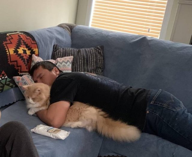 Men Who Didn't Want To Have Pets (20 pics)