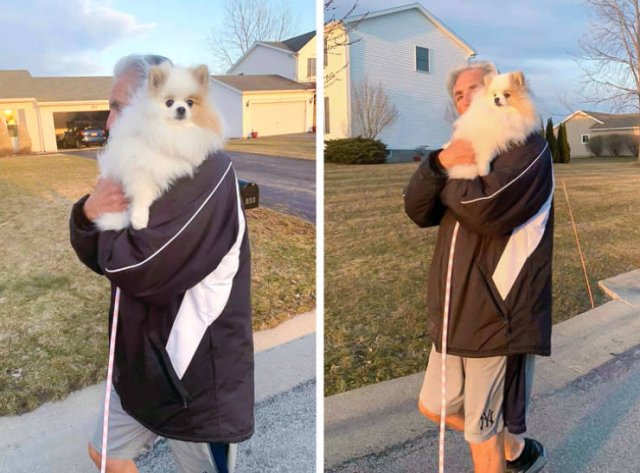 Men Who Didn't Want To Have Pets (20 pics)