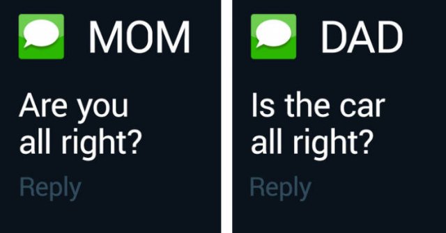 Dads Vs Moms (20 pics)