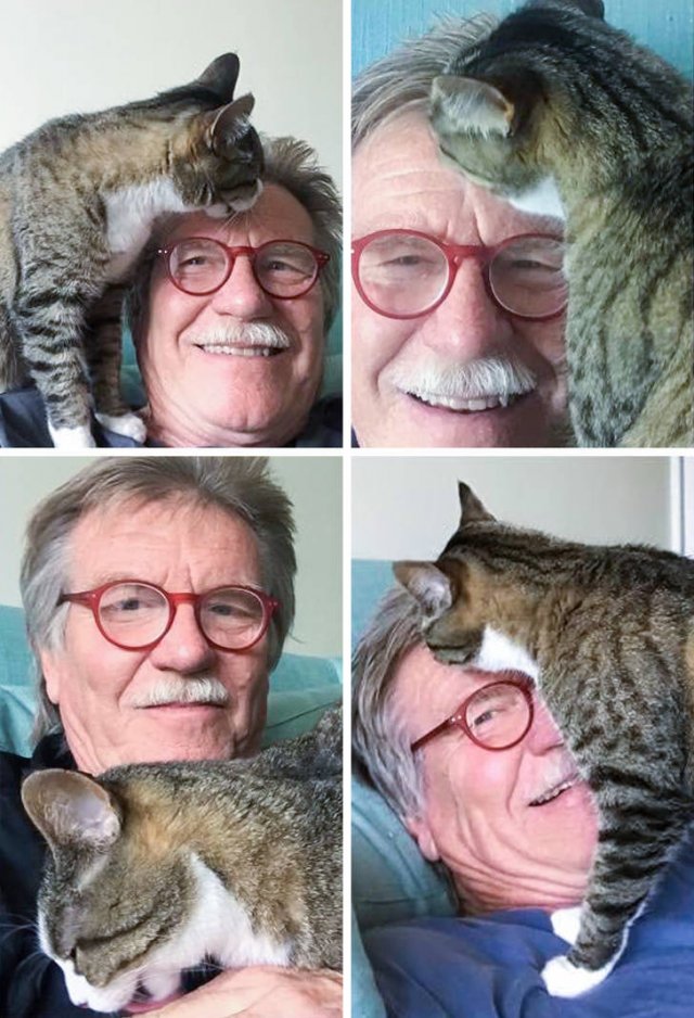 Men Who Didn't Want To Have Pets (20 pics)