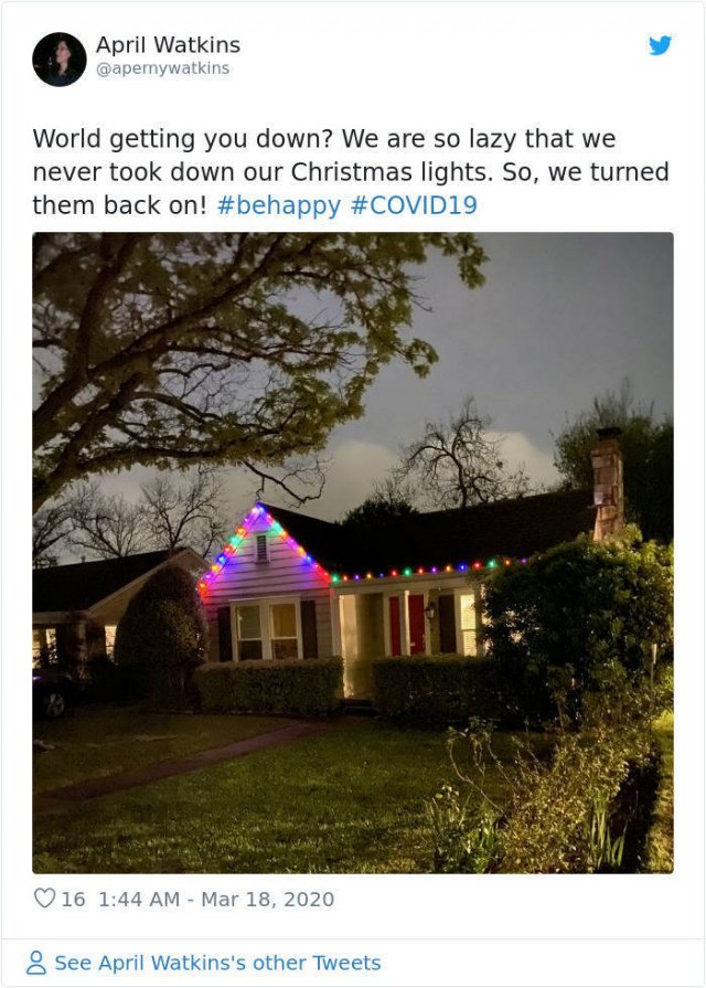 People Start To Decorate Their Homes With Christmas Lights (24 pics)