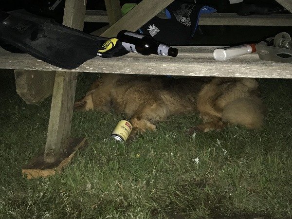 Wasted People (37 pics)