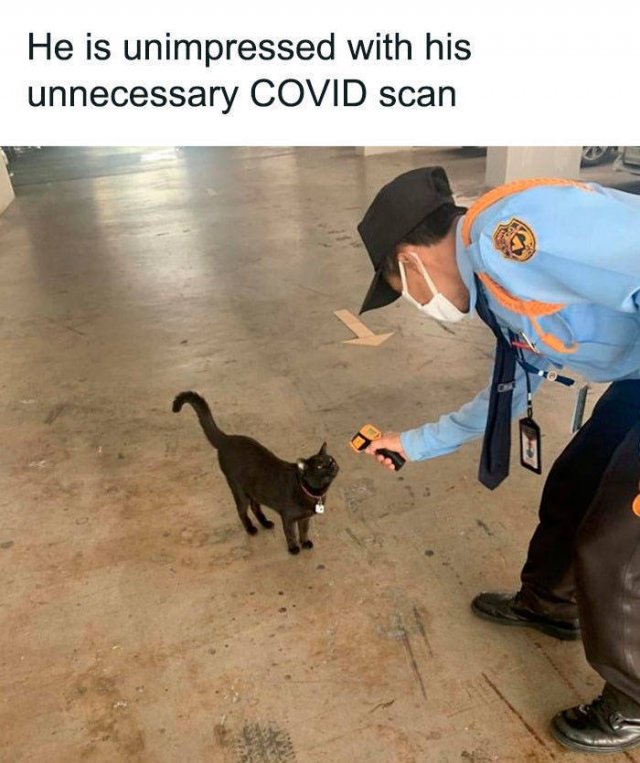 Coronavirus Memes (40 pics)