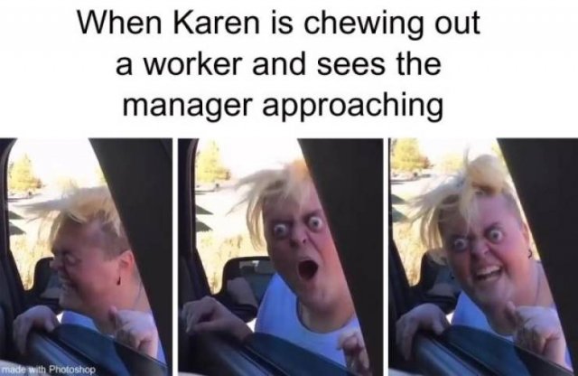 Karen Memes (31 pics)