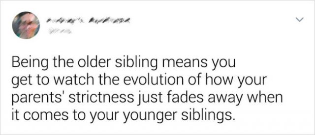 Awesome Siblings (18 pics)