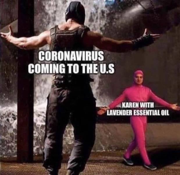 Karen Memes (31 pics)