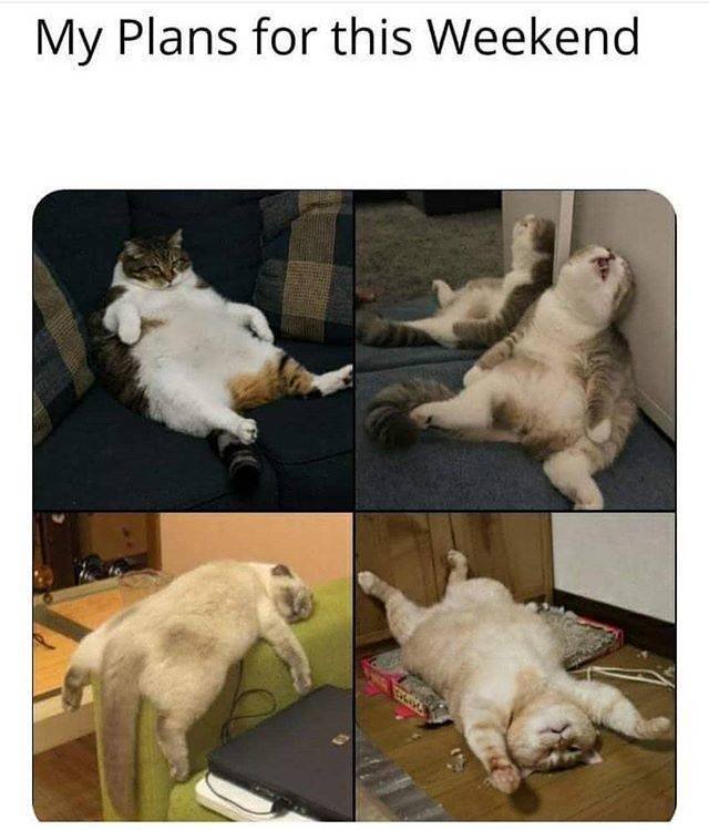 Coronavirus Memes (40 pics)