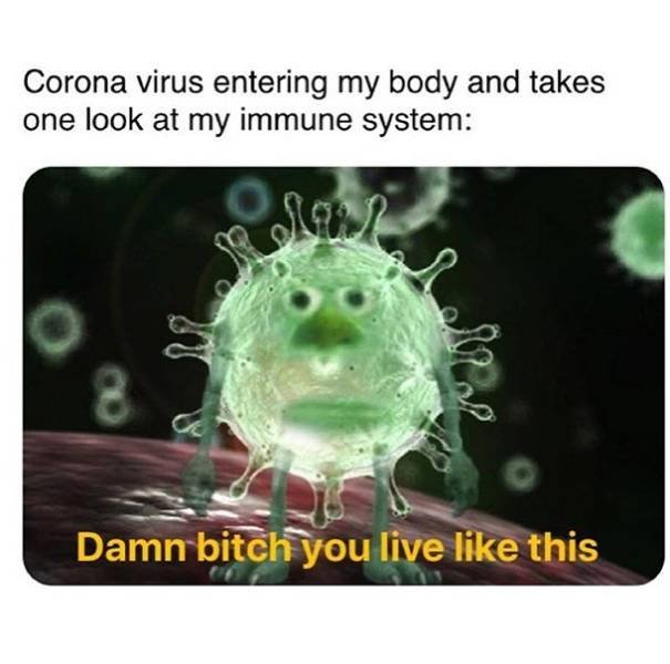 Coronavirus Memes (40 pics)