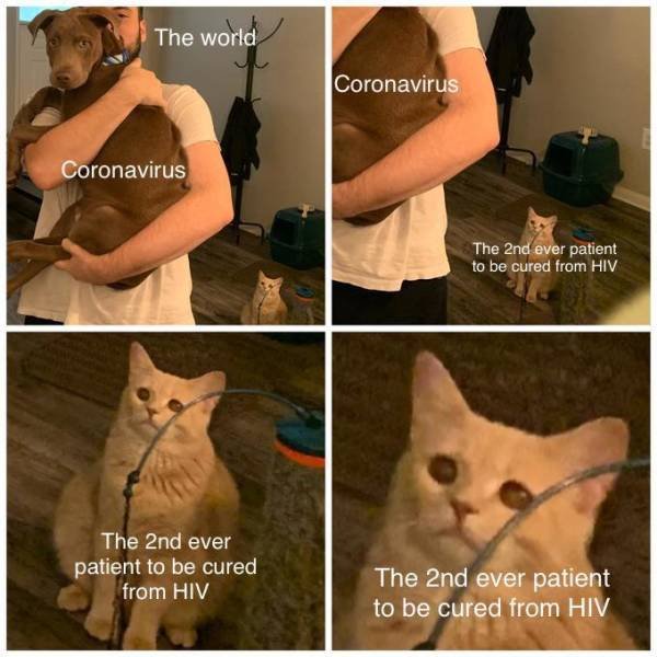 Coronavirus Memes (40 pics)