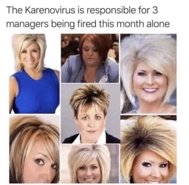 Karen Memes (31 pics)