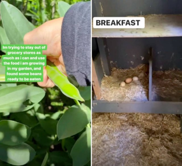 Celebrities Show Their Activities During Quarantine (16 pics) Celebrities Show Their Activities During Quarantine (16 pics)