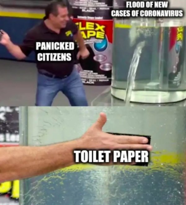 Toilet Paper Memes (34 pics)