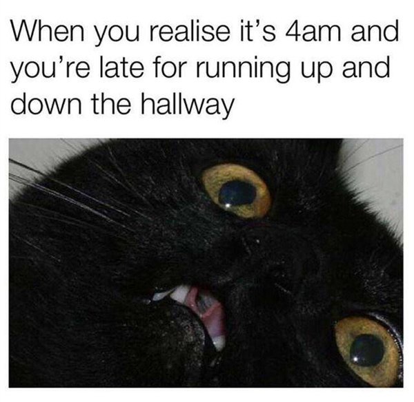 Hilarious Memes (30 pics)