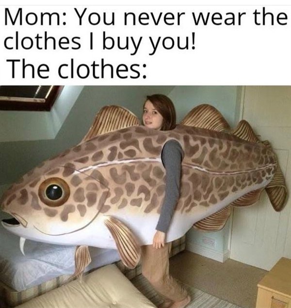 Hilarious Memes (30 pics)