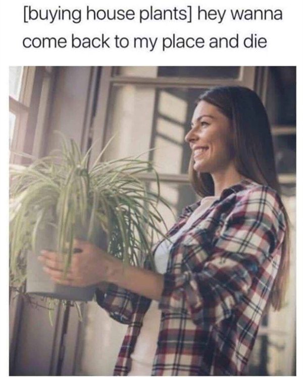 Hilarious Memes (30 pics)